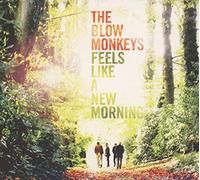 Feels Like a New Morning