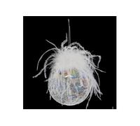 Feeric Lights & Christmas – Boule de Noël en verre "Légende d'Hiver" 10 cm Blanc