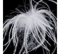 Fééric Lights and Christmas - Boule de Noël en Verre "Légende d'Hiver" 6cm Blanc Blanc G