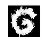 Guirlande Boa Plumes Héritage 186cm Blanc Blanc