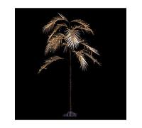 Feeric Lights et Christmas - Arbre Lumineux d'intérieur Palmier h1.2m 120 LED + transfo