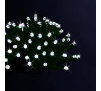 Feeric Lights et Christmas - Guirlande Lumineuse extérieur 200 LED Blanc Froid 20m