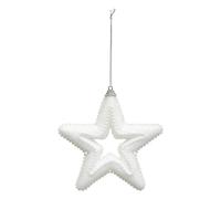 Feeric Lights et Christmas - Sujet Assorti H.7-11cm polystyrène - Etoile Perle