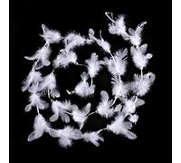 Feerie Christmas Guirlande de Noël Plumes et Perles - 2 m