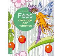 David Woodroffe – Fées coloriage par numéros – Livre-jeu – broché