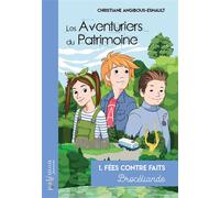 Fées contre faits - Brocéliande - Christiane Angibous-Esnault - Du Palemon Eds - broché - Roman junior