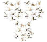 Fegtrty Lot de 30 mini branches en bois flotté pour aquarium - Décorations pour aquarium - Assortiment de bois flotté