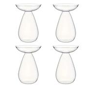 Fegtrtyoa Vase Hydroponique en Verre Transparent pour la Propagation des Plantes, Vase à Fleurs pour Faire Pousser Un Avocatier, Pot de Culture 4PCS.