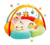 Fehn 074611 Gymnase Et Tapis D'éveil Pour Bébé Multicolore Tapis De Jeux Pour Bébé Multicolore