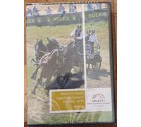 FEI WORLD EQUESTRIAN GAMES 2010 DRIVING