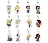 FEIDIAO Dr/Stone Porte-clés Anime Personnage Ishigami Senkuu Acrylique Pendentif Porte-clés Ambre/Kohaku Chrome Figurine Sac à clés Pendentif Accessoires 12pcs