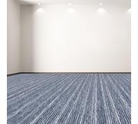 FEIJDON Feutre Aiguilleté 100 x 670 cm Isolation Contre Le Froid et Insonorisant Tapis de Sol Grand Facile d'entretien, Couleur Unie pour Bureau Hôtel Centre Commercial, Gris Foncé