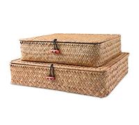 FEILANDUO Lot de 2 paniers de rangement en osier avec couvercles pour étagères - En jonc de mer naturel tissé - Décoration d'intérieur bohème (naturel)