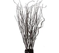 FeiLix Lot de 10 Branches artificielles décoratives séchées de 78 cm pour intérieur ou extérieur - Vignes Vintage pour Maison, Jardin, hôtel, Bureau, fête, Cuisine