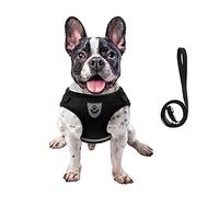 FEimaX Ensemble harnais et laisse pour la promenade du chien et du chat, en maille douce, réglable, facile à contrôler, léger avec bandes réfléchissantes, gilet anti-fugue (noir, taille XL)