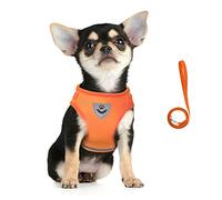 FEimaX Ensemble harnais et laisse pour la promenade du chien, harnais léger en maille douce, réglable et facile à contrôler avec bandes réfléchissantes, gilet anti-fugue pour petits chiens et chats