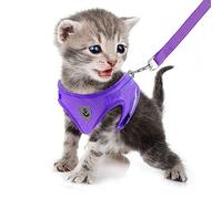 FEimaX Harnais et Laisse pour Chiens, Ensemble Harnais Rembourré en Mesh Doux pour Chiots et Chats, Veste Respirant Réglable Réfléchissant Intérieur pour Marcher, Courir, Formation