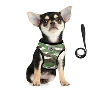 FEimaX Harnais et Laisse pour Chiens, Ensemble Harnais Rembourré en Mesh Doux pour Chiots et Chats, Veste Respirant Réglable Réfléchissant Intérieur pour Marcher, Courir, Formation
