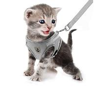 FEimaX Harnais et Laisse pour Chiens, Ensemble Harnais Rembourré en Mesh Doux pour Chiots et Chats, Veste Respirant Réglable Réfléchissant Intérieur pour Marcher, Courir, Formation