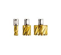 FEIN 63134140075, Fraise HSS Dura 25 emmanchement 3/4 in Weldon, Ø14x25mm, pour une coupe précise et efficace, Fraise à Haute Vitesse, Accessoire Outil de Coupe, pour tous types de supports