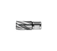 FEIN 63134160052, Fraise HSS Nova, 50, emmanchement QuickIN, Ø16x50 mm, en Acier, pour une coupe précise et efficace, Fraise à Haute Vitesse, Accessoire Outil de Coupe, pour tous types de supports