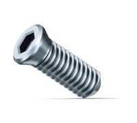 Fein Fein Vis de fixation SX, Quantité 10 Pce Quantité:10