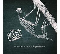 Feine Herr Soundso,der - Wann,Wenn Nicht Irgendwann (+CD/Download) [Import]
