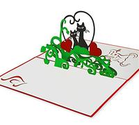 FeinKnick carte des chats