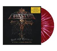 David "Rock" Feinstein – Hail and Farewell – Vinyle (LP)