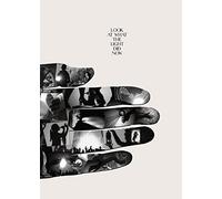 Feist - Look at What The Light Did [Import]