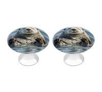 FekiLoot Boutons d'armoire ronds en forme de loutre de mer - En acier inoxydable - Pour tiroir de commode et de cuisine - Pour salle de bain