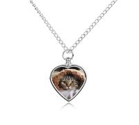 FekiLoot Collier personnalisé pour cendres de chat sous couverture - Urne pour animal domestique - Souvenir commémoratif - Pendentif en forme de cœur - Cadeau pour perte de chien