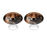 FekiLoot Images de boutons d'armoire Fox pour décoration de cuisine, poignées de tiroir décoratives rondes en zinc pour armoires tendance, poignées de tiroirs de commode de salle de bain avec vis