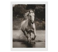 FekiLoot Kit de peinture diamant cheval au bord de l'eau pour débutants, artisanat à pois pour adultes, kit d'art diamant rond complet pour décoration murale de maison, bureau, cadeau 30,5 x 40,6 cm