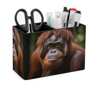 FekiLoot Orangutan Porte-stylo rectangulaire en cuir synthétique avec 2 compartiments pour prendre des photos