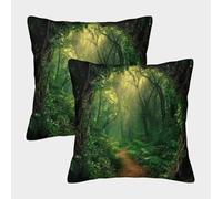 FELASBUID Forest Pathway - Style Naturel Mystique Housse Coussin 2 Pièces Disponible Toutes Les Saisons Taie d'oreiller Decoration Carré Taies d'oreiller Salon Et Lit Protecteurs