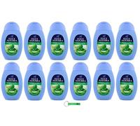 Felce Azzurra Lot de 12 gels douche à la menthe et au citron vert 250 ml + porte-clés Beni Culinari