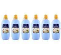 Felce Azzurra Lot de 6 fougères bleues - adoucissant ambre et vanille, parfum incomparable, vêtements doux - 30 lavages - 2 l