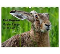 Feldhasen - Meister Lampe in Franken (Wandkalender 2026 DIN A3 quer), CALVENDO Monatskalender: Feldhasen in ihrem natürlichen Lebensraum auf 12 Seiten + Cover