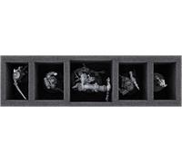 Feldherr HOMFHN070BO 255 mm x 75 mm x 70 mm mousses de Rangement Storage Box TCHS105-5 Figurines