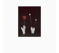 Felicia Atkinson - Flower & Vessel [Compact Discs]