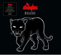 Feline