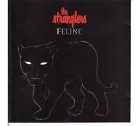 Feline