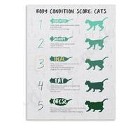 Feline Body Condition Evaluation Chart Cat Health Awareness Canvas Poster Art