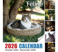 Feline Calendar 2026: Sleek hunters and soft purrs filling the year with feline grace