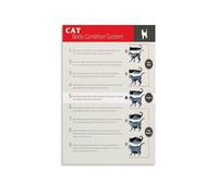 Feline Health Assessment Poster Cat Body Condition Score BCS Veterinary Reference Chart for Clinic Hospital Decor 8 X 12 in