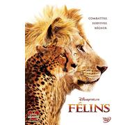 Félins
