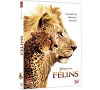 Félins