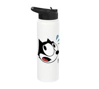 Felix The Cat Scaredy-Cat Halloween Stainless Steel Insulated Water Bottle