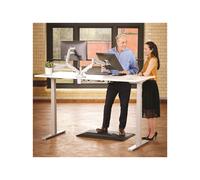 Fellowes Kit de montage bras doubles réglables pour 2 moniteurs Argent RAL 9023